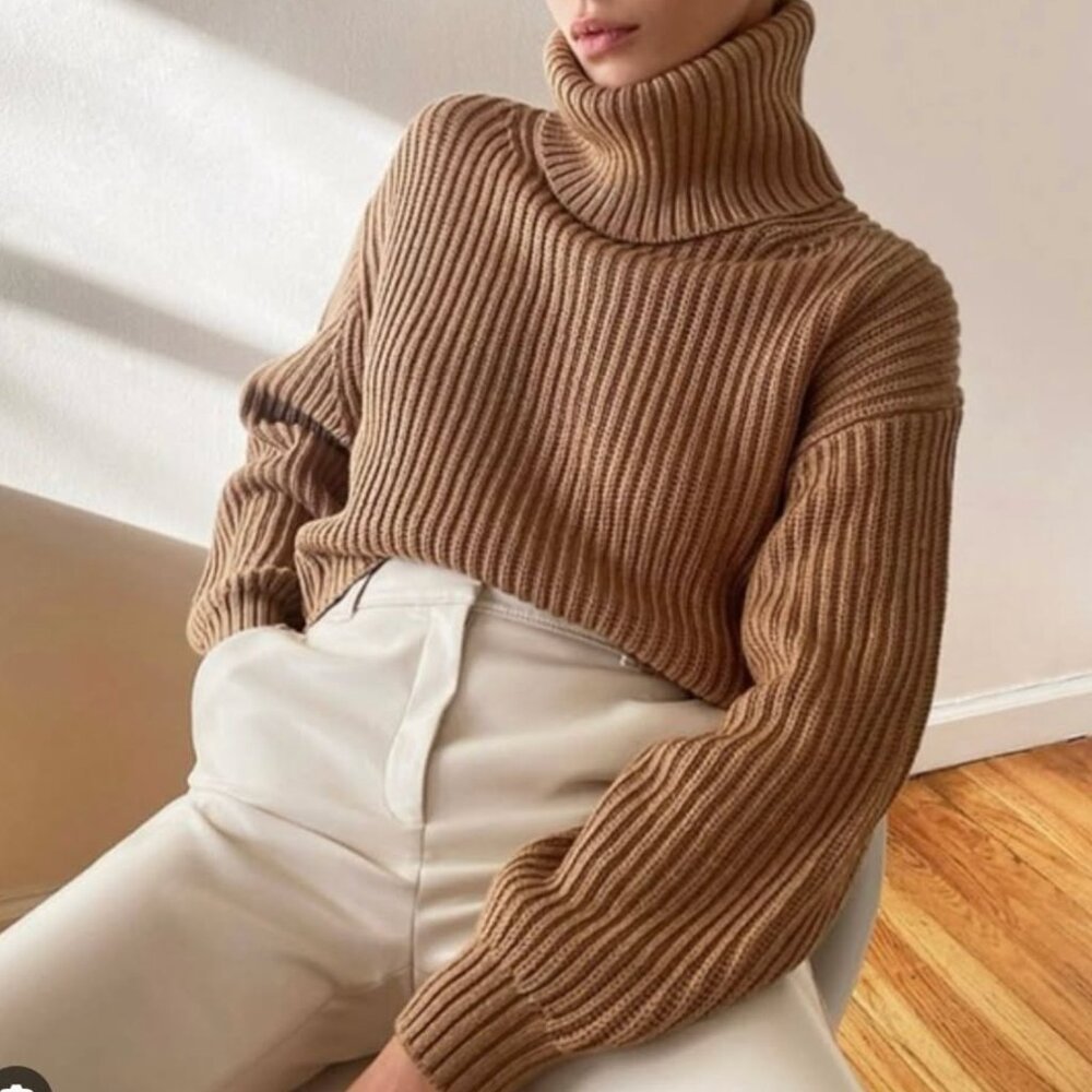 Aritzia Babaton Guell sweater